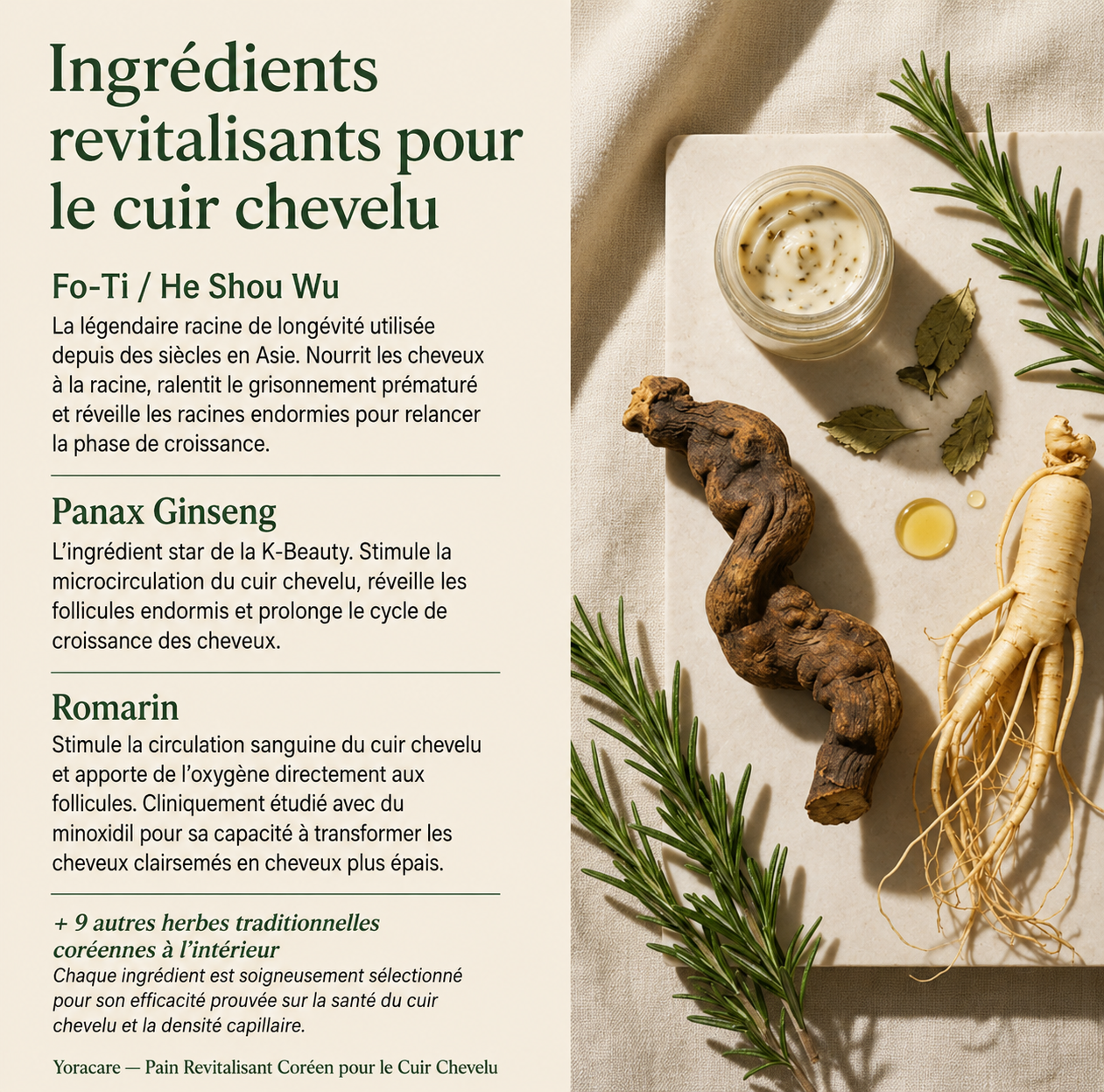 Barre revitalisante coréenne pour le cuir chevelu